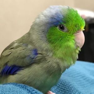 Meet your Posher, Jacklyn